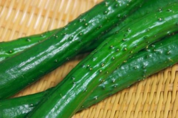 実はジャーサラダも危険 死亡するケースもある野菜の食中毒 15年7月26日 エキサイトニュース