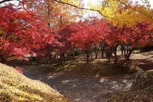 鉄工所で働く一癖ある人たちの日常 野村宗弘の新連載 鉄工所にも花が咲く 17年9月13日 エキサイトニュース