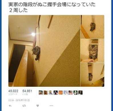 猫の手にできるかわいい線を けしかライン と命名 Twitterで猫好きが賛同の嵐 18年1月30日 エキサイトニュース