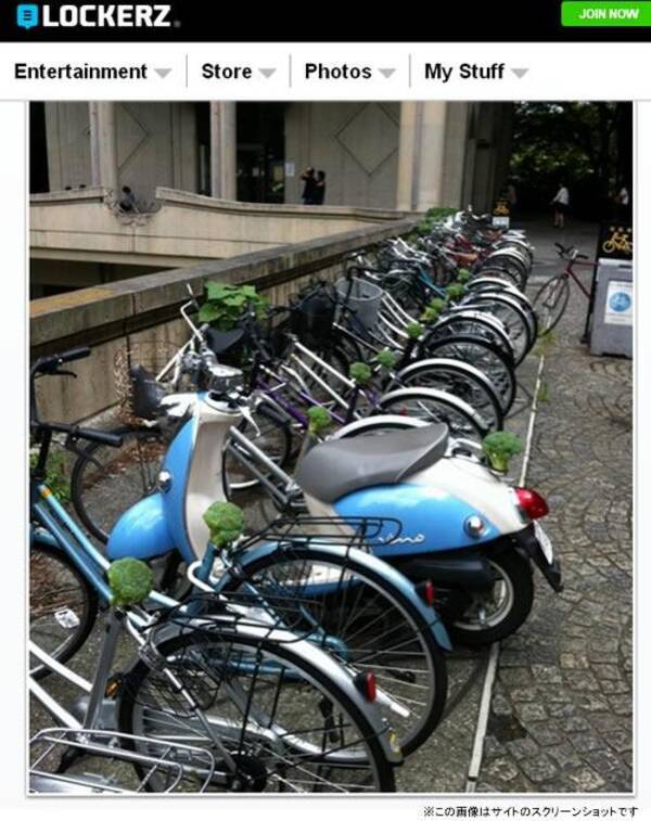東京大学にて 自転車のサドルがブロッコリーにすり替えられるテロ発生 11年9月9日 エキサイトニュース