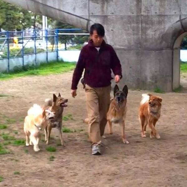 犬との暮らし方 犬のリーダーになるってどういうこと 16年4月9日 エキサイトニュース