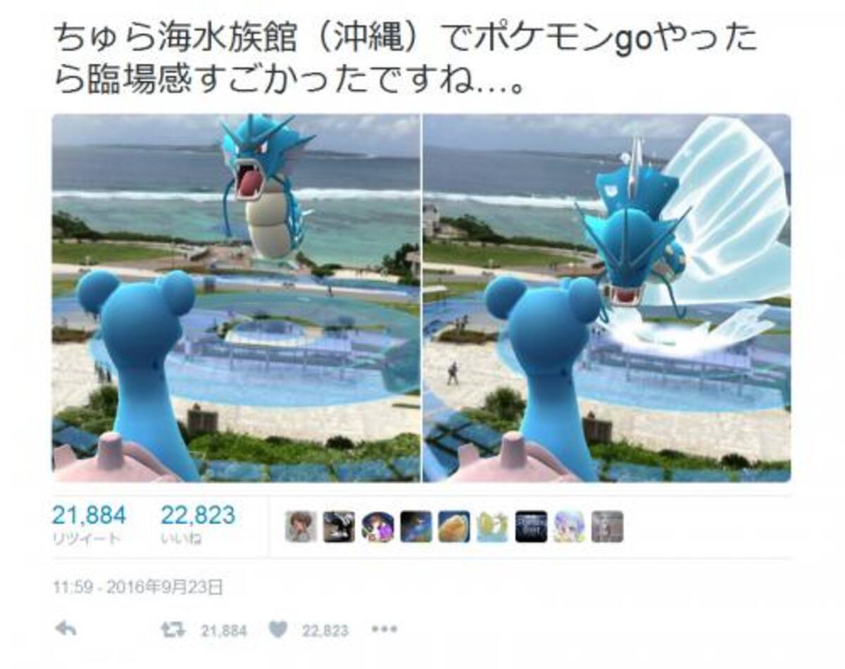 臨場感すごかったですね 沖縄美ら海水族館でのポケモンgoプレイ画面が Twitter で話題に 16年9月24日 エキサイトニュース