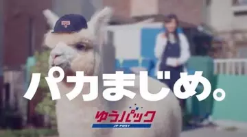 ご飯に夢中になりすぎて顔が草だらけになったアルパカさん 18年1月12日 エキサイトニュース