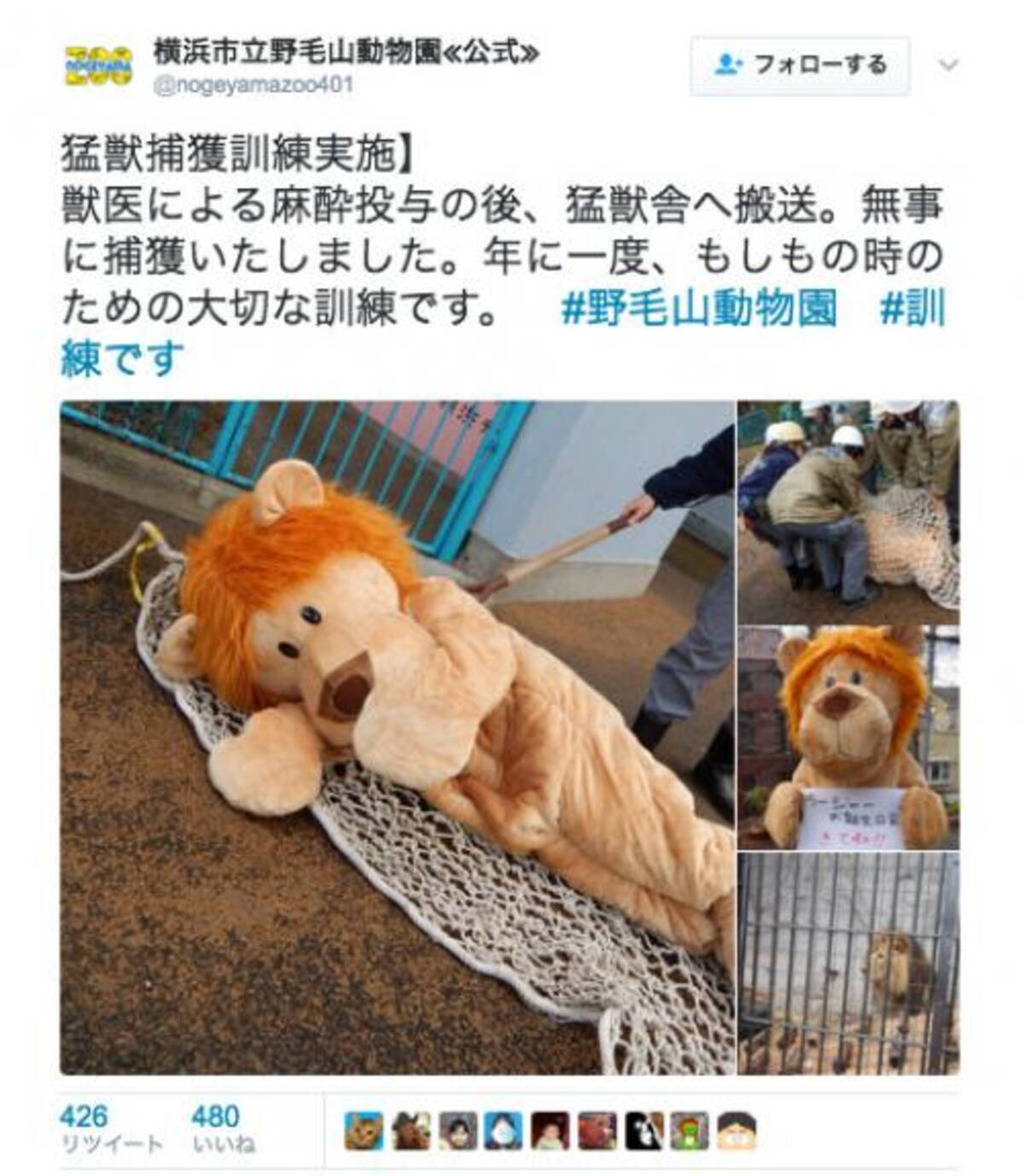 安全を守る為の真面目な取り組みだけど 着ぐるみを使った動物園の 脱走訓練 が和む 17年2月8日 エキサイトニュース