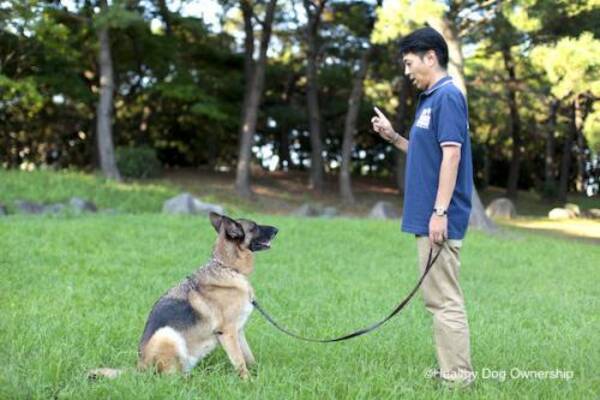 犬 コマンド キューは1回で伝える 17年2月11日 エキサイトニュース