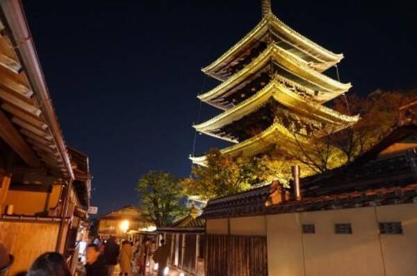 京都の春を告げる京都東山花灯路 幻想的な京都の夜を愉しむ 17年3月6日 エキサイトニュース