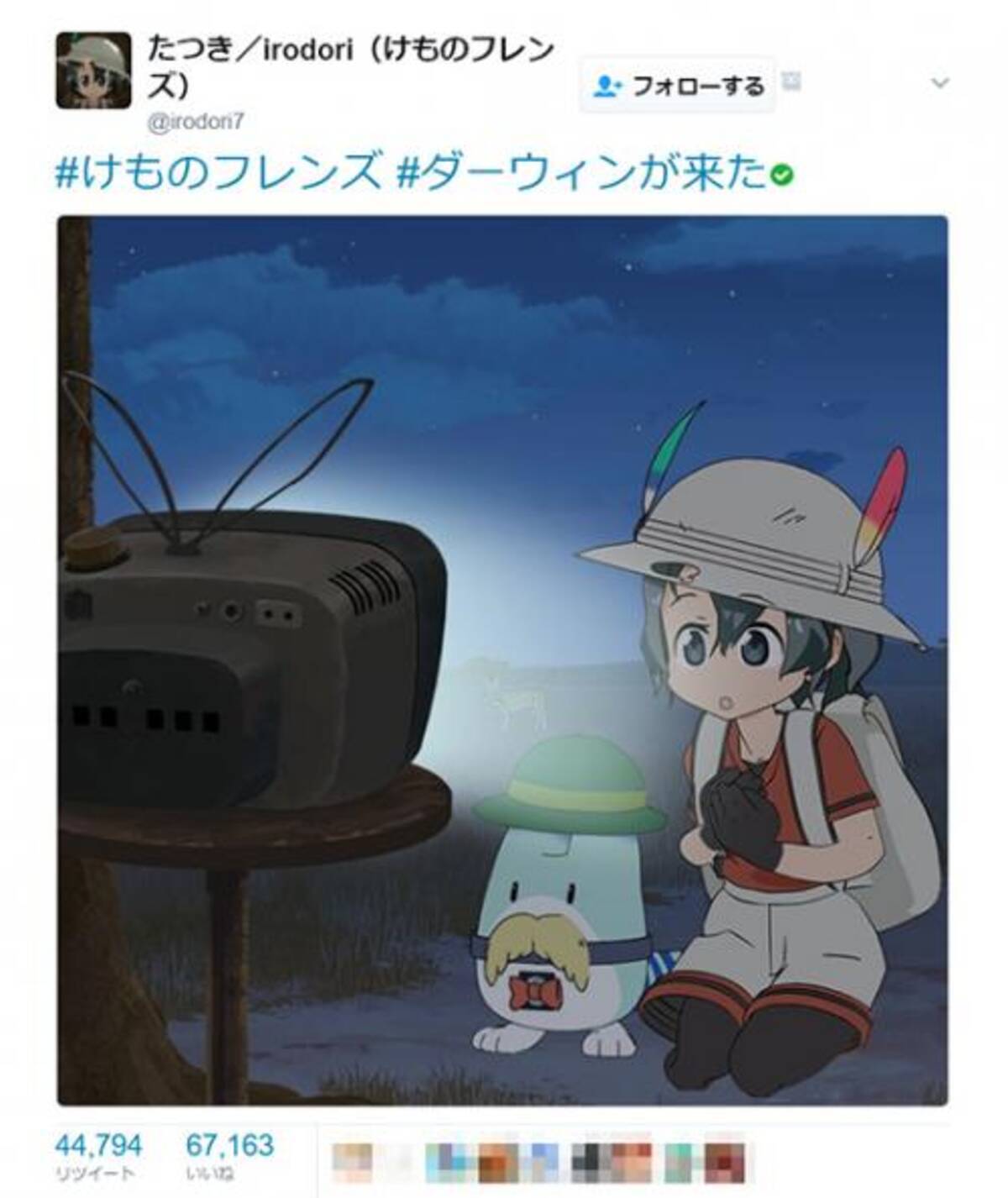 けものフレンズ Nhk ダーウィンが来た 再放送でたつき監督がイラスト公開 寝てください との声も 17年4月16日 エキサイトニュース