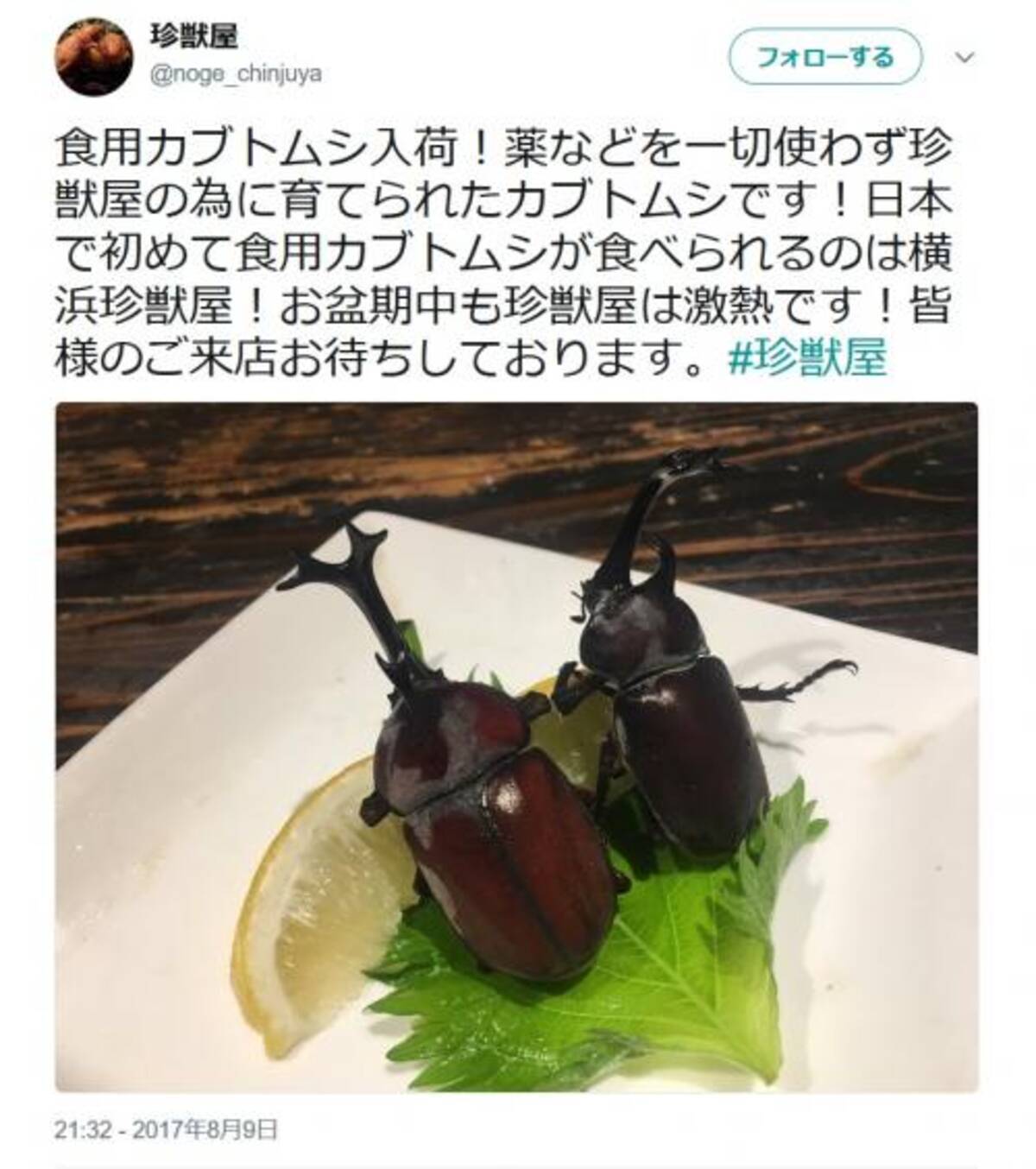 成虫 食用カブトムシ の食べ方を聞いた レモンが添えられている理由が判明 17年8月14日 エキサイトニュース