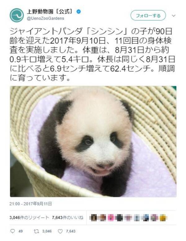 可愛い 上野動物園の赤ちゃんパンダがすくすく育つ 名前が楽しみ 早く赤ちゃんパンダに会いた い とネットの声 17年9月13日 エキサイトニュース