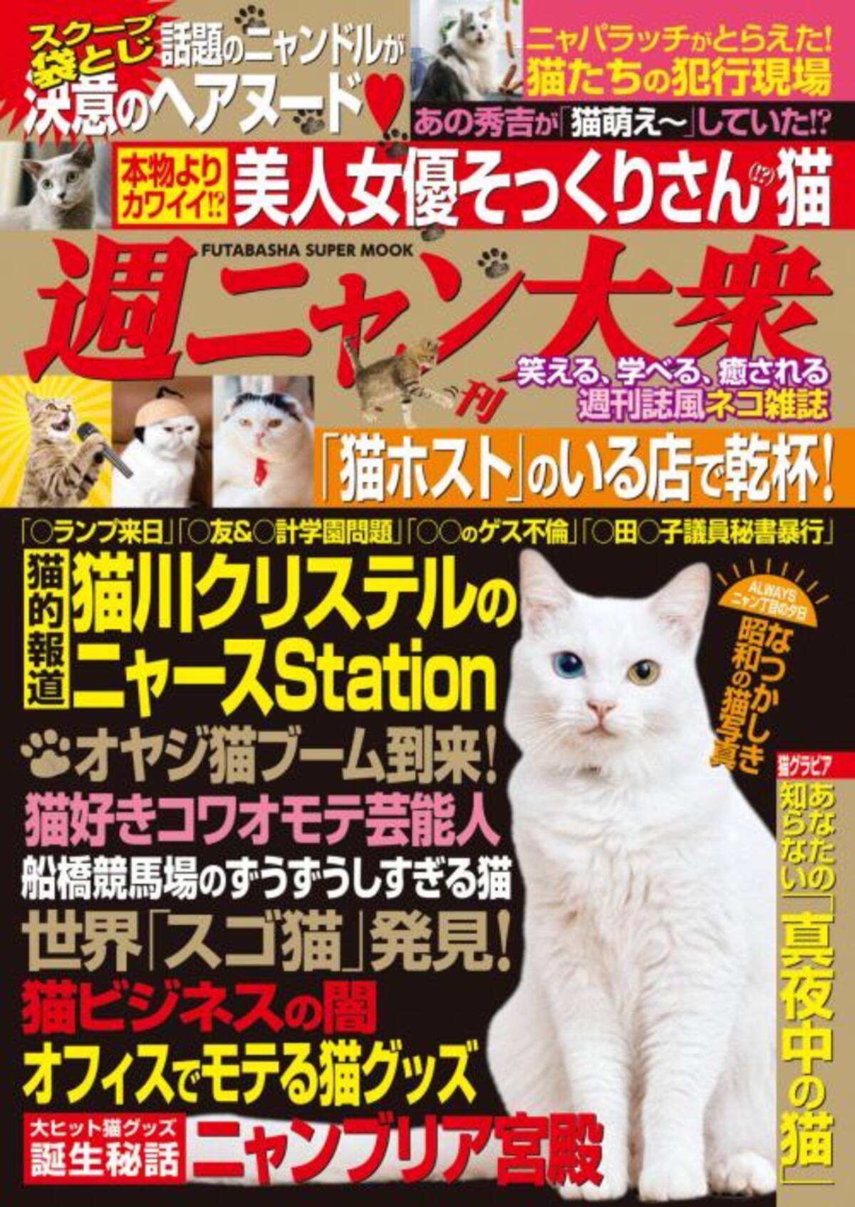 ねこ業界初 アイドルねこの袋とじグラビア収録 週刊大衆 ならぬ 週ニャン大衆 誕生 17年12月27日 エキサイトニュース