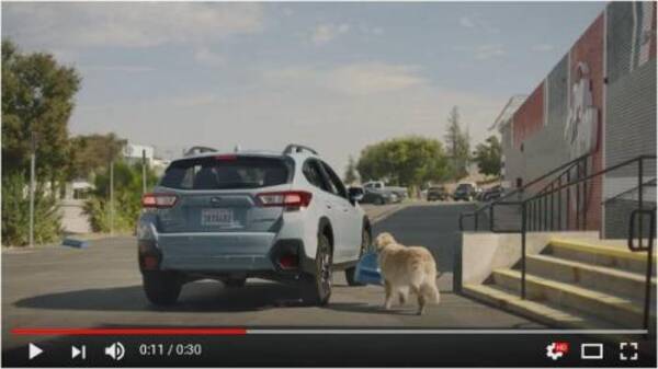 犬好き必見 米国スバルが 犬家族のバークレー家 The Barkleys Cm最新作を4本まとめて公開 18年1月25日 エキサイトニュース