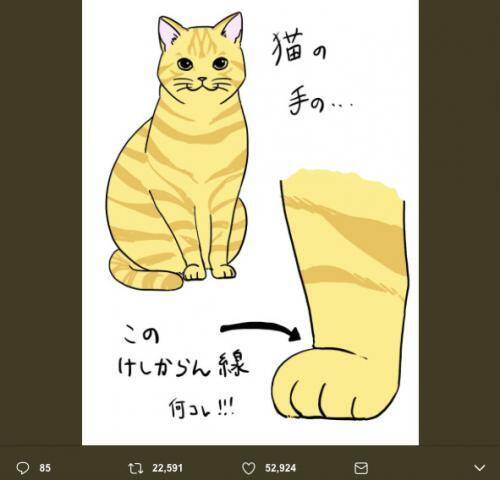 猫の手にできるかわいい線を けしかライン と命名 Twitterで猫好きが賛同の嵐 18年1月30日 エキサイトニュース