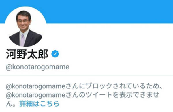 河野太郎外務大臣が Twitter で批判的な一般人をブロックしまくり 逆にブロックされようとクソリプを投げまくる人も現れる 18年7月19日 エキサイトニュース