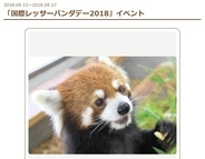 レッサーパンダは絶滅危惧種？  静岡市・日本平動物園で3連休特別イベント開催！レッサーパンダ☆ナイトも