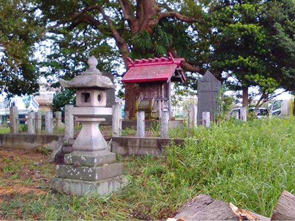 なぜコンビニの何倍もの数の神社があるのか しいたげられたしいたけ 18年9月日 エキサイトニュース