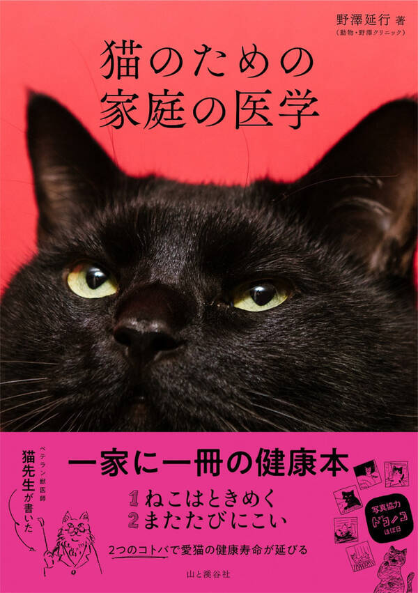 食欲のない猫にはナニが正解 おやつは必要 獣医さんが教える長生き猫ごはん 18年12月1日 エキサイトニュース