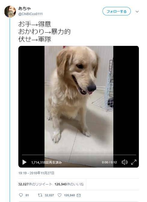 犬が お手 得意 おかわり 暴力的 伏せ 軍隊 をする動画が話題に 元自衛官からみても立派な伏せだ 18年11月30日 エキサイトニュース