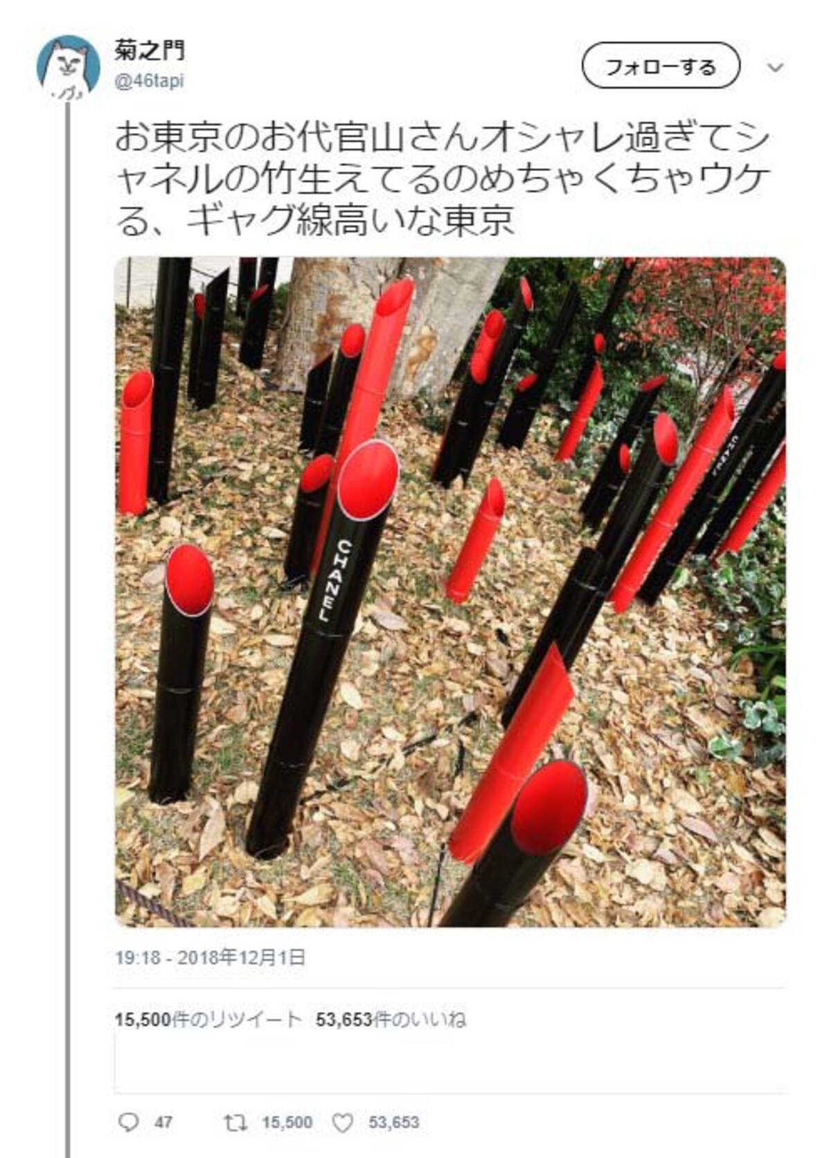 東京の代官山がオシャレすぎた結果 シャネルの竹生えてる 草を超えて竹 ツッコミ相次ぐ 18年12月5日 エキサイトニュース