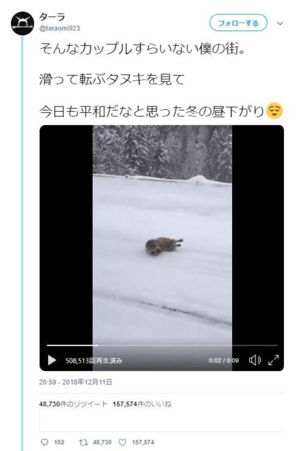 雪道で滑って転ぶタヌキの動画ツイートに ちょっとガッカリしてる スタッドレス履かないから コメント集まる 18年12月17日 エキサイトニュース