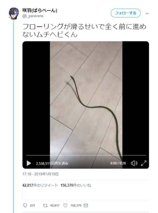 ムチヘビがムーンウォーク 動画がネットで大反響 走っても走れない夢の中の俺みたい マイケル 蛇クソン 19年1月25日 エキサイトニュース
