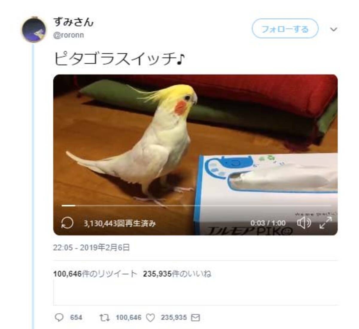 ピタゴラスイッチ を歌うインコ ネットで話題に Bメロへの尋常じゃない焦らし エキサイトニュース