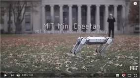 またしても靴を履いた状態で切断された人間の足が セイリッシュ海で15本目の足が発見される ミステリー事件簿 19年2月28日 エキサイトニュース またしても靴を履いた状態で切断された人間の足が セイリッシュ海で15本目の足が発見される ミステリー事件簿 19年2月28日 エキサイトニュース