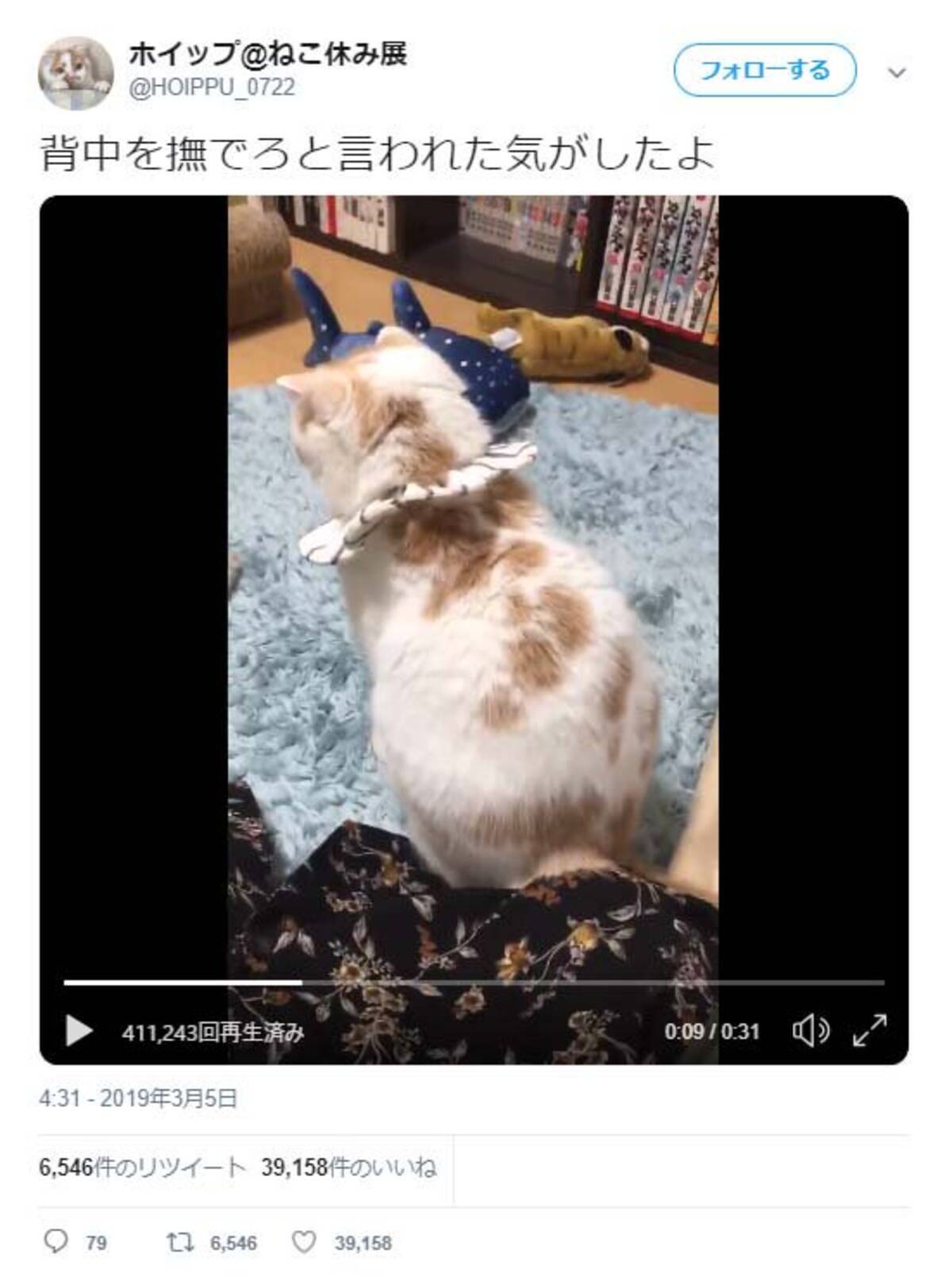 猫のホイップさん 背中を撫でろと言われた気がしたよ 動画ツイートに 完全にそう言ってる 甘え上手だ の声 19年3月9日 エキサイトニュース