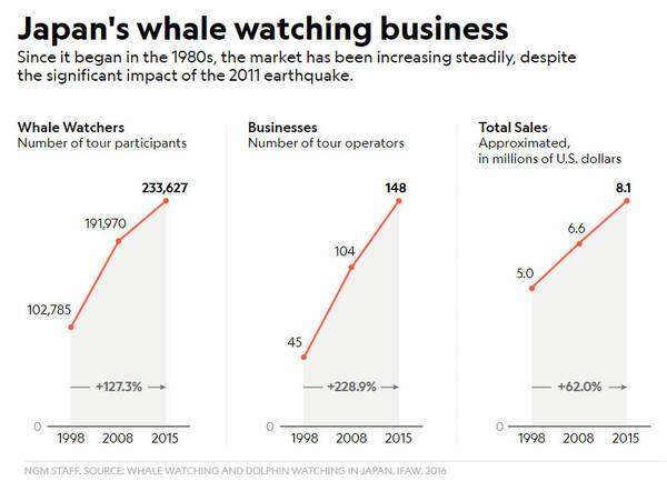 海外の反応 捕鯨でクジラを殺している日本でホエールウォッチング人口が増えているのってヘン 2019年3月20日 エキサイトニュース