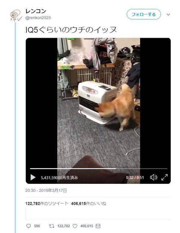 犬が自分のリードを見つけた結果 見てるこっちが目が回りますね 一人遊びの天才 19年3月21日 エキサイトニュース