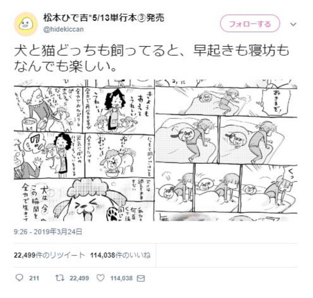 Twitter漫画 犬と猫のまんが がネットで大反響 主さまの ねこ待ってる 感 分かり過ぎです 19年4月3日 エキサイトニュース