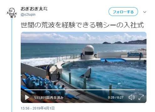 鴨川シーワールドの入社式に やってるシャチもめっちゃ楽しい 激しすぎる ツッコミの声 19年4月6日 エキサイトニュース 鴨川シーワールドの入社式に やってるシャチもめっちゃ楽しい 激しすぎる ツッコミの声 19年4月6日 エキサイトニュース