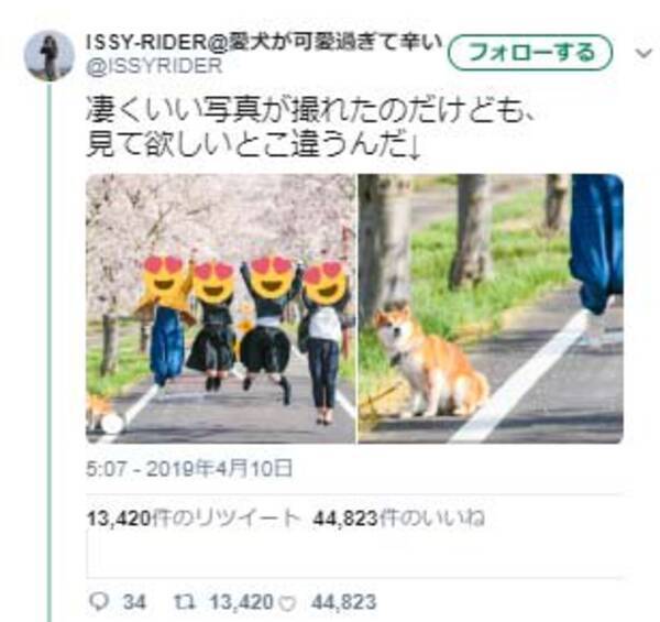 すごくいい青春の写真が撮れた結果 柴犬がドン引き顔 なんだこいつら 何で飛ぶねんっ 19年4月17日 エキサイトニュース
