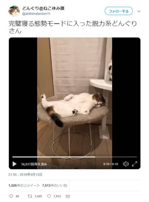 猫が寝る態勢の動画ツイートに どう見ても オヤジっぽい ごろんと気持ち良さそう の声 19年4月25日 エキサイトニュース