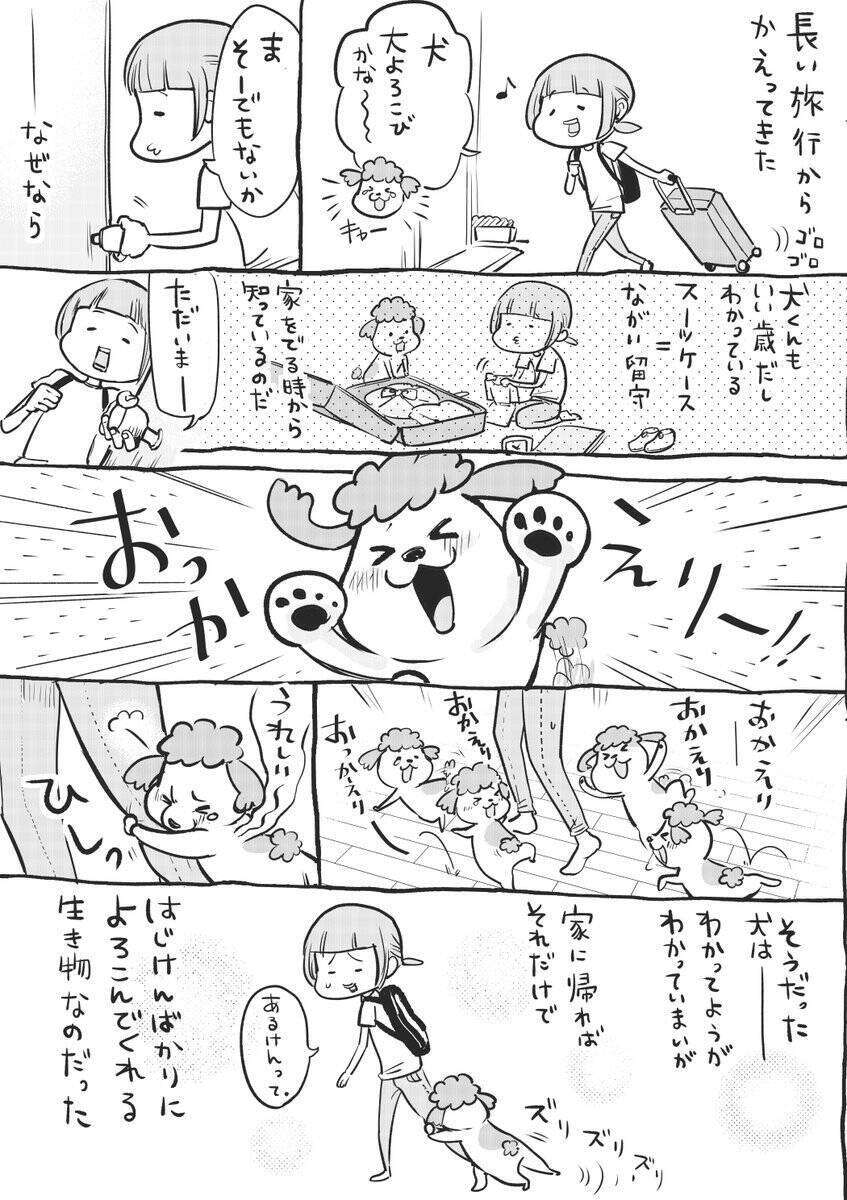 長旅のあとの犬と猫の出迎えは Twitter漫画に共感多数 いぬの喜びは本当に癒し 猫さんは怒ります 19年5月7日 エキサイトニュース