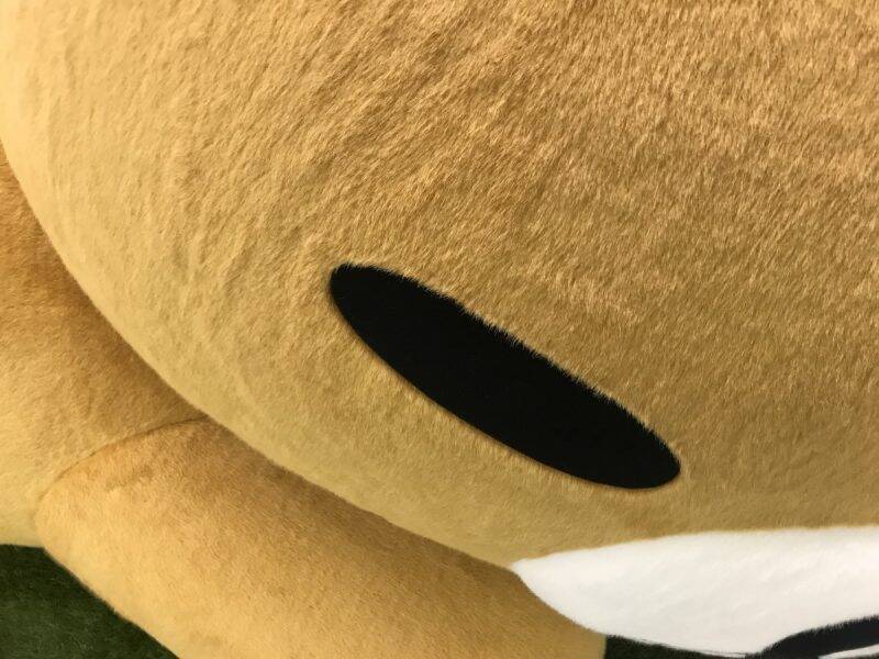 巨大リラックマ に会えるのは5日まで ふわもふのお耳 お尻 背中のチャックに癒されたい人は急げ 19年5月4日 エキサイトニュース