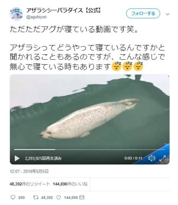 アザラシってどうやって寝ているんですか アザラシシーパラダイスの公式動画ツイートが話題に めちゃくちゃ寝相ええな 19年5月8日 エキサイトニュース