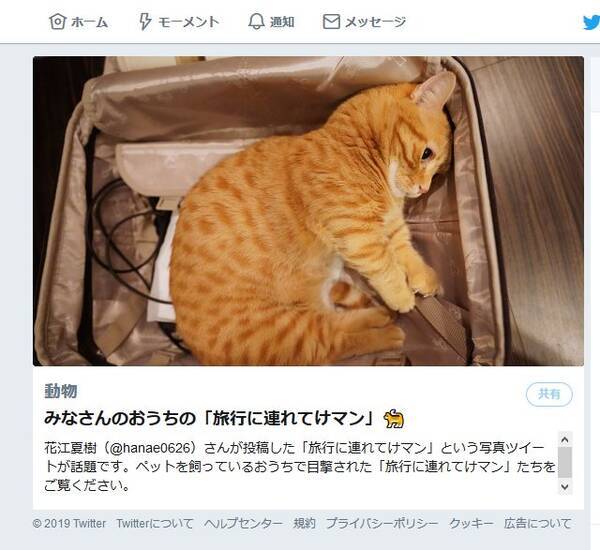 声優 花江夏樹さんのツイートで話題の 旅行に連れてけマン とは 19年6月17日 エキサイトニュース