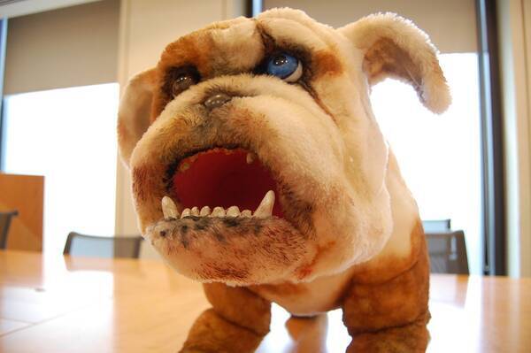 映画 Diner ダイナー の可愛すぎる 狂犬 菊千代さんに会ってきた がるるるる 観なきゃ噛みつくぞ 19年7月4日 エキサイトニュース