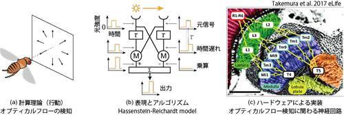 どうすれば脳を 理解 できるのか コンピュータチップの神経科学 から考える 重ね描き日記 19年10月31日 エキサイトニュース 13 30