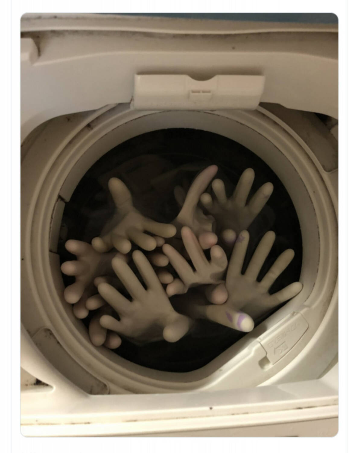 洗濯機で手袋をすすいだら この世の終わり のような光景に ツイッターで話題 エキサイトニュース