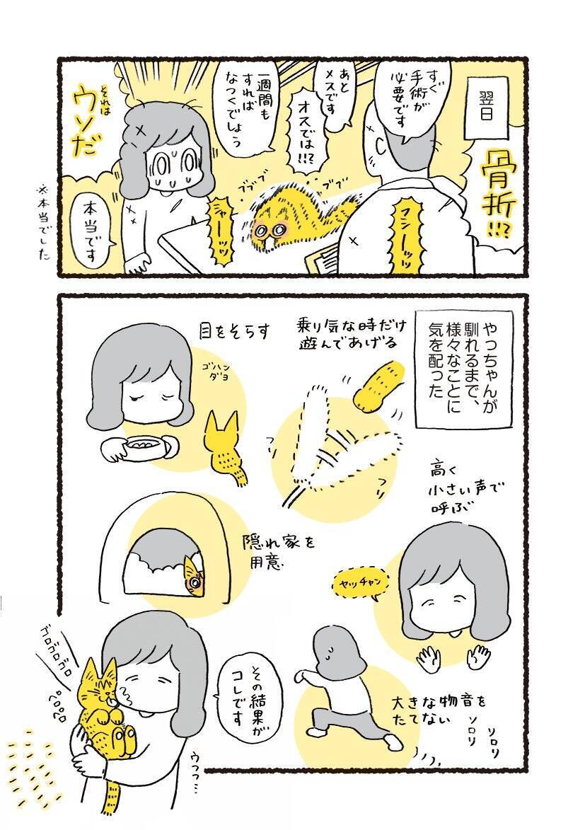 愛猫 やっちゃん との出会いを描いた漫画に感動の声 全ての猫がこんな素敵な飼い主と出会って欲しい 年1月25日 エキサイトニュース