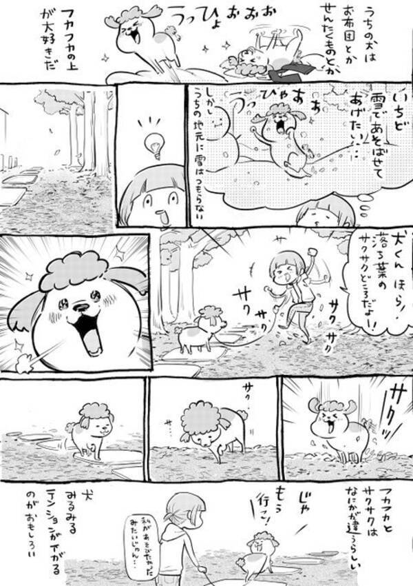 犬と猫のテンションのアップダウンの違いとは Twitter漫画が話題に フカフカとサクサクは違う犬 急激に我に返る猫 年2月13日 エキサイトニュース