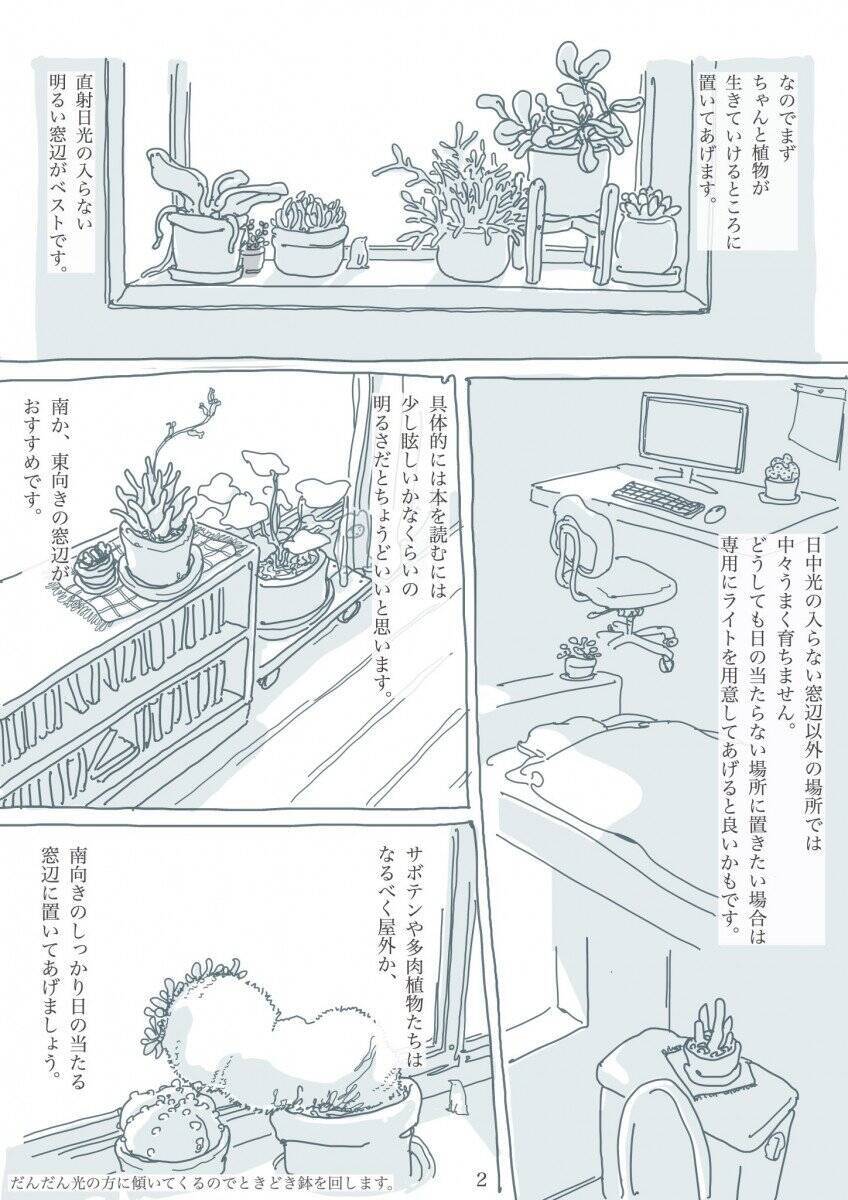 触発されてお花屋さんで買ってきました という報告も マンガ 観葉植物と暮らす上で大切なたった2つのこと がやさしい気持ちになる 年3月日 エキサイトニュース