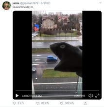 楽しい隔離生活始めました 靴下でパックマン