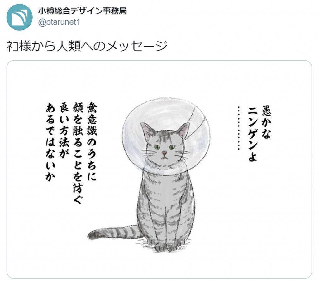 コロナと戦う人類へ 猫様からありがたいお言葉 仰るとおり さすが猫様 と関心集まる 年4月17日 エキサイトニュース