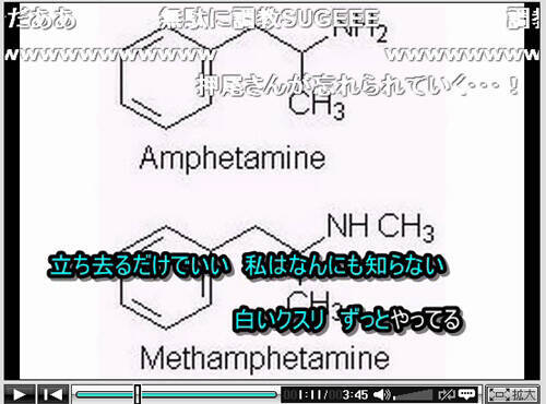 初音ミクが歌う酒井容疑者の替え歌 白いクスリ が大人気 09年8月10日 エキサイトニュース