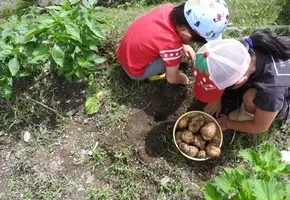 自給自足に必要な家庭菜園の広さは 10年4月9日 エキサイトニュース