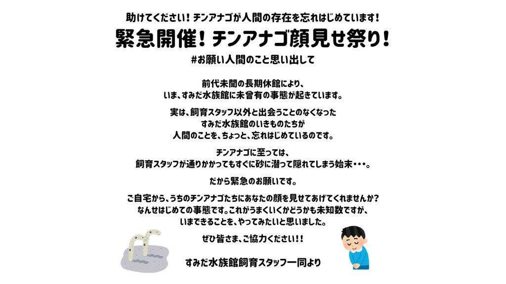 恥ずかしがり屋のチンアナゴに顔見せて すみだ水族館が異例のイベント チンアナゴ顔見せ祭り を緊急開催 年4月28日 エキサイトニュース