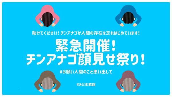 恥ずかしがり屋のチンアナゴに顔見せて すみだ水族館が異例のイベント チンアナゴ顔見せ祭り を緊急開催 年4月28日 エキサイトニュース