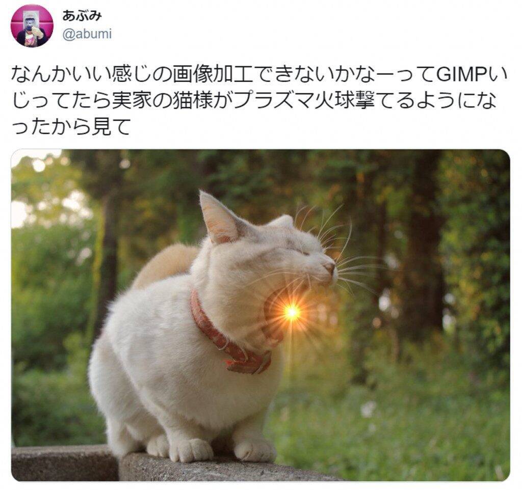 プラズマ火球を撃つ猫の写真がtwitterで大人気 ニャメラ 一兆度ありそう との声 年4月30日 エキサイトニュース